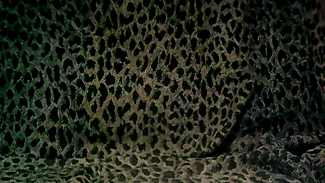 Snapshot of here51 chatting on March 2026 06:09:02 PM here51 online show from March 2026 06:09:02 PM