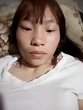 pic8800 online show from March 2026 01:58:01 PM