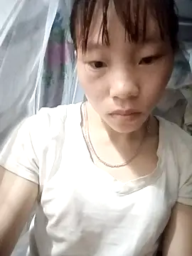 pic8800 online show from May 2026 10:36:01 PM