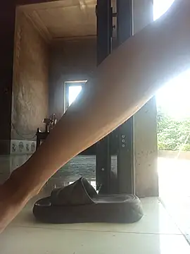 pic8800 online show from June 2026 08:08:02 AM