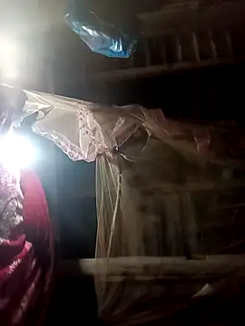 pic8800 online show from March 2026 05:47:01 AM