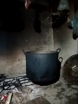 pic8800 online show from March 2026 07:10:01 AM