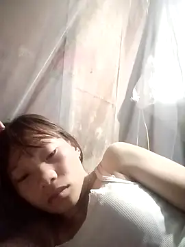 pic8800 online show from March 2026 07:16:01 PM