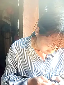 pic8800 online show from March 2026 06:33:01 AM