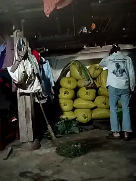 pic8800 online show from April 2026 01:56:01 AM