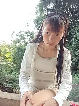 pic8800 online show from May 2026 11:25:01 PM