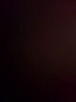 RandomOrbit x online show from March 2026 04:46:02 AM