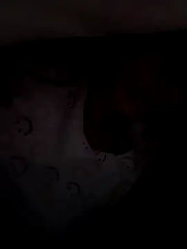 Rashmika Mandana online show from April 2026 09:10:02 PM