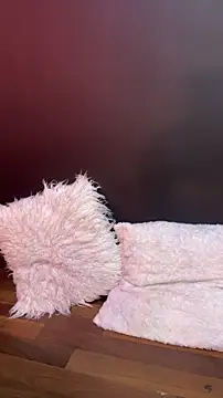   CELESTE   online show from March 2026 07:56:01 AM