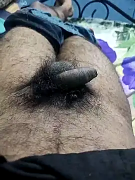 narutojeeva online show from February 2026 04:45:02 AM