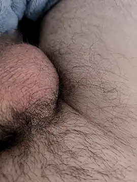 XTo95 online show from February 2026 01:00:02 PM