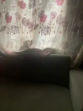 qczband online show from April 2026 07:09:02 AM