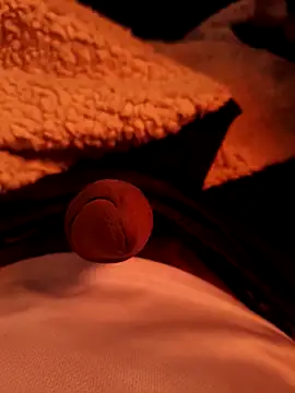 Snapshot of Alterego228 chatting on February 2026 12:10:02 AM Alterego228 online show from February 2026 12:10:02 AM