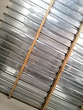 treynba online show from March 2026 01:08:01 PM