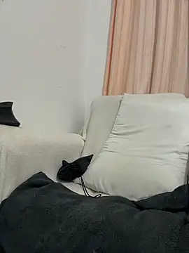 paula p07 online show from April 2026 10:10:01 AM