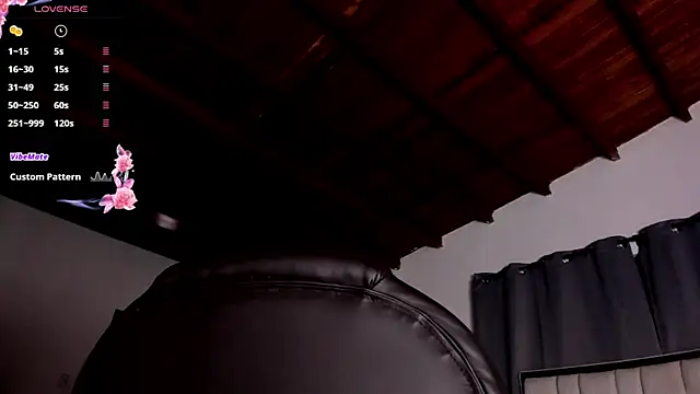 Snapshot of zafiro_ziz chatting on April 2026 01:04:02 PM zafiro ziz online show from April 2026 01:04:02 PM