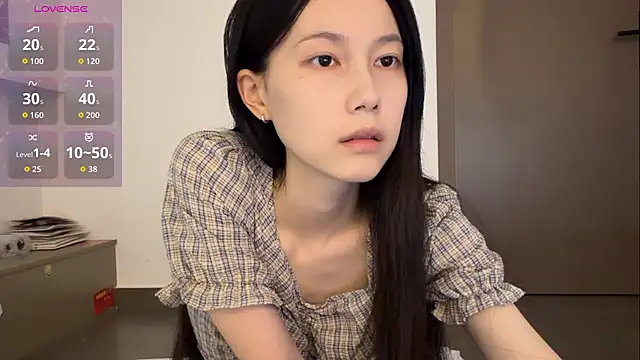 DD-5200 online show from May 2026 01:41:01 PM