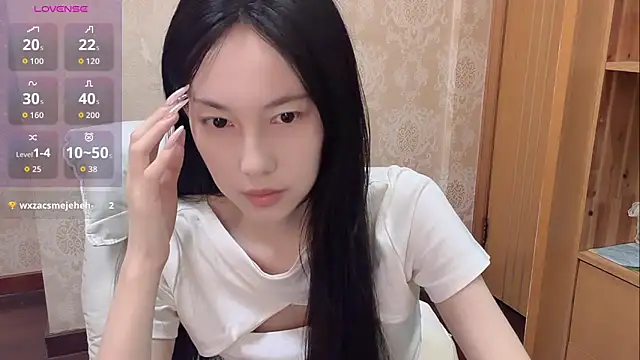 DD-5200 online show from April 2026 08:37:02 AM