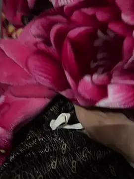 Snapshot of yuici79 chatting on February 2026 04:06:01 PM yuici79 online show from February 2026 04:06:01 PM