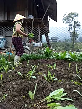 Heylen hooo online show from March 2026 10:41:02 AM