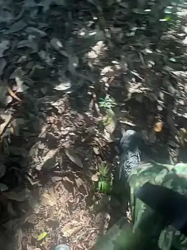 bibedro online show from February 2026 09:14:02 PM