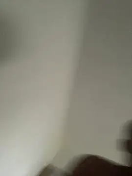 bibedro online show from March 2026 02:53:02 PM