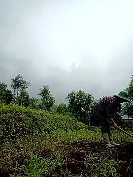 lyly sexx online show from April 2026 02:30:02 AM