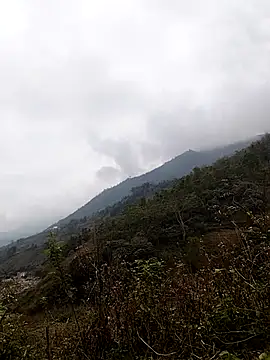 lyly sexx online show from March 2026 03:13:01 AM