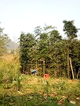 lyly sexx online show from April 2026 12:56:01 AM