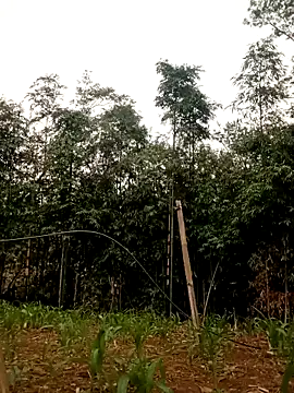 lyly sexx online show from April 2026 12:44:02 AM