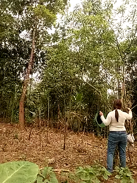 lyly sexx online show from March 2026 01:06:01 AM