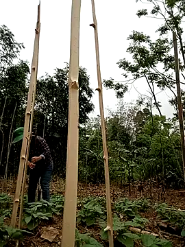 lyly sexx online show from April 2026 02:02:02 AM