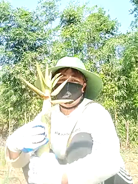 lyly sexx online show from April 2026 02:13:02 AM