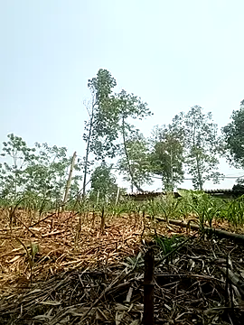 lyly sexx online show from April 2026 07:02:01 AM