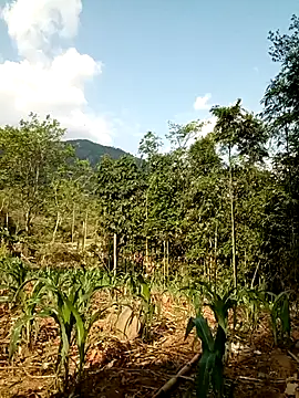 lyly sexx online show from April 2026 01:02:02 AM