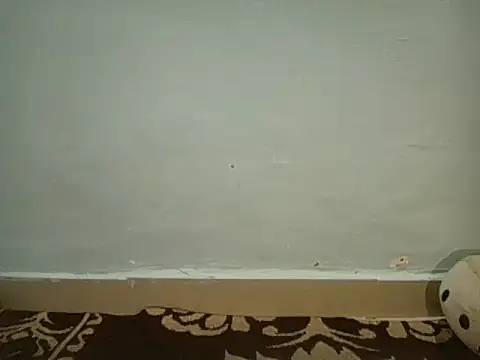 Mistry lishu online show from March 2026 04:00:01 PM