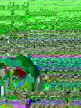 midsize 94 online show from February 2026 03:39:01 AM