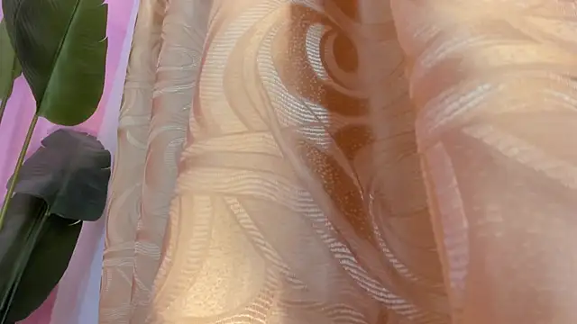 Snapshot of evelyn__rose1 chatting on March 2026 02:04:02 AM evelyn rose1 online show from March 2026 02:04:02 AM