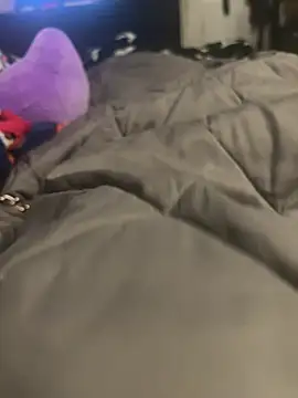 Tazmania  online show from February 2026 04:29:02 PM