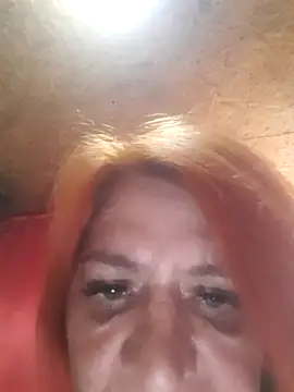 Belowa7364 online show from March 2026 01:44:01 PM