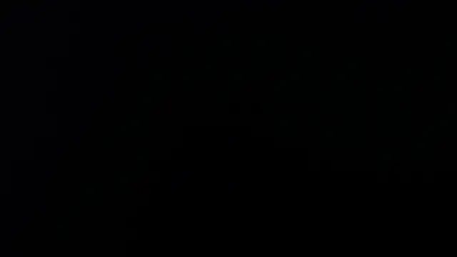 artemisa aly online show from April 2026 11:44:02 AM