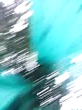 single kitten online show from April 2026 12:12:02 PM