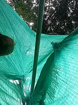 single kitten online show from March 2026 07:47:01 PM