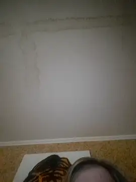 ChristinaYork online show from March 2026 03:29:01 AM