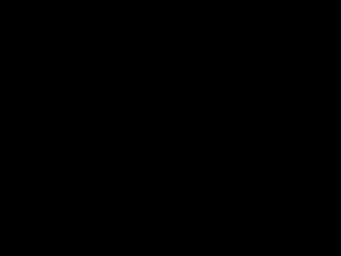 Nutty2in1 online show from February 2026 06:57:01 AM