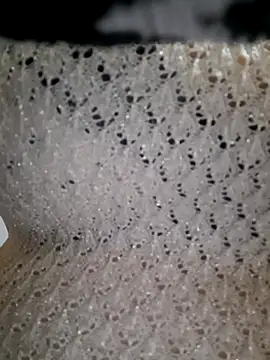 LunaBlaise online show from March 2026 06:59:02 AM