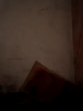 CoralN online show from April 2026 03:52:02 AM