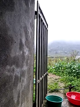 phay79 online show from March 2026 12:51:02 AM