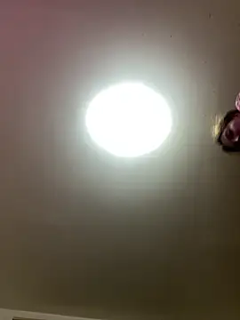 KarmaFoxx online show from March 2026 02:54:01 AM