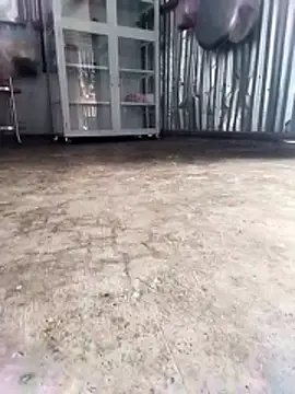 Malisa-aa online show from March 2026 12:04:02 AM